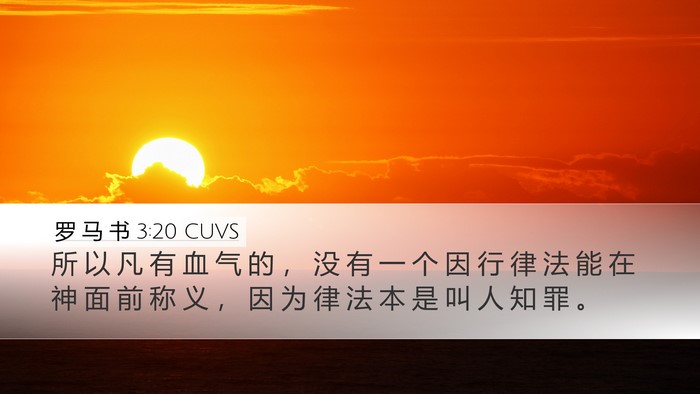 罗 马 书 3:20 CUVS Bible Verse Image