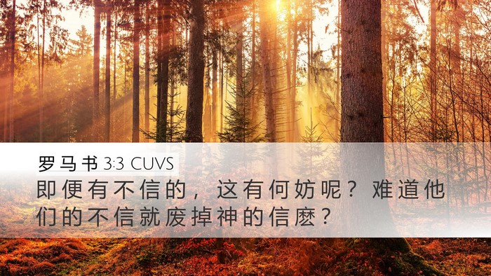 罗 马 书 3:3 CUVS Bible Verse Image