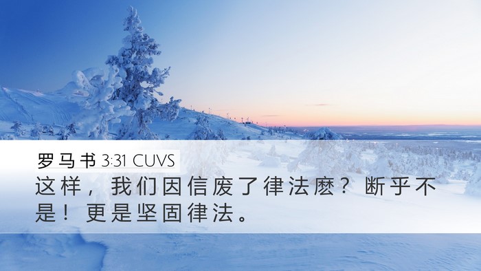 罗 马 书 3:31 CUVS Bible Verse Image