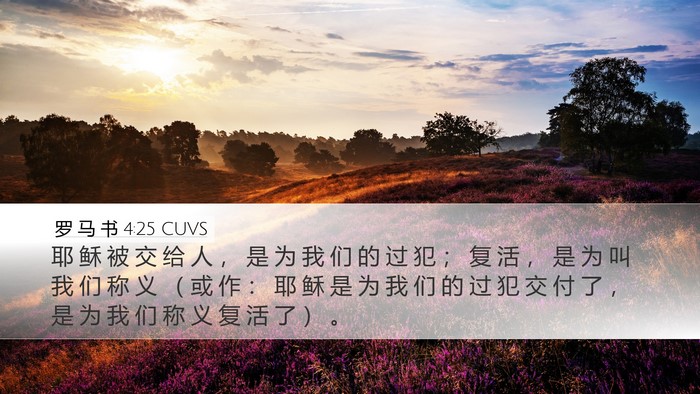 罗 马 书 4:25 CUVS Bible Verse Image