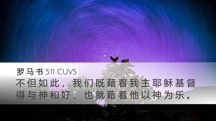 罗 马 书 5:11 CUVS Bible Verse Image