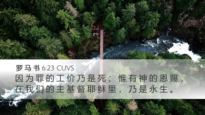 罗 马 书 6:23 CUVS Bible Verse Image