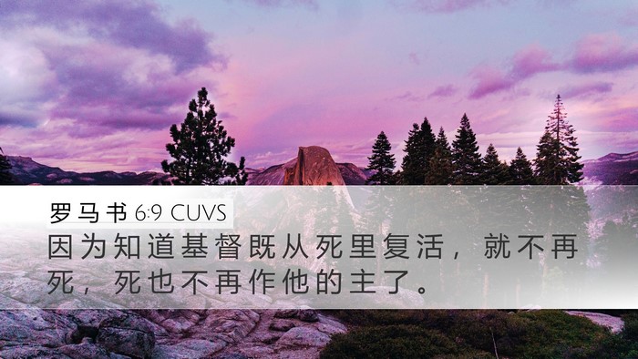 罗 马 书 6:9 CUVS Bible Verse Image