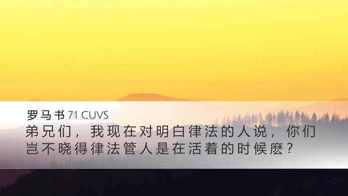 罗 马 书 7:1 CUVS Bible Verse Image