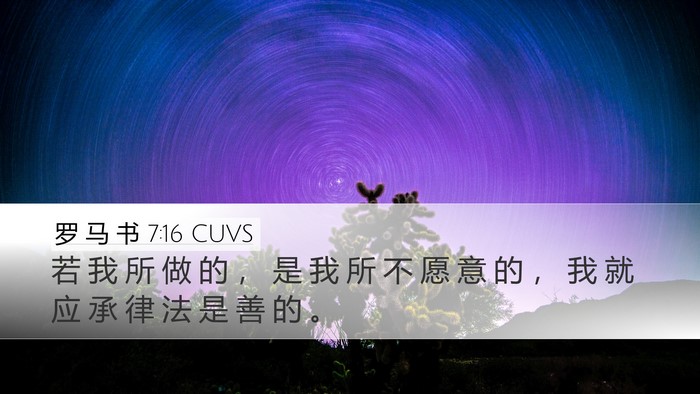 罗 马 书 7:16 CUVS Bible Verse Image
