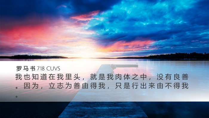 罗 马 书 7:18 CUVS Bible Verse Image