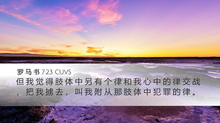 罗 马 书 7:23 CUVS Bible Verse Image