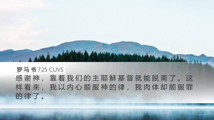 罗 马 书 7:25 CUVS Bible Verse Image