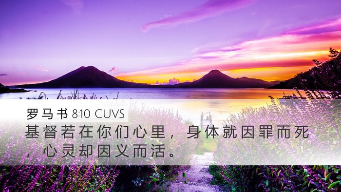 罗 马 书 8:10 CUVS Bible Verse Image