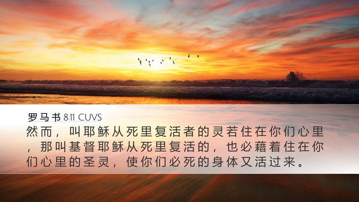 罗 马 书 8:11 CUVS Bible Verse Image