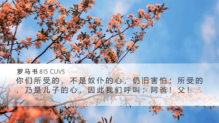 罗 马 书 8:15 CUVS Bible Verse Image