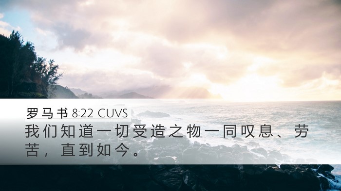 罗 马 书 8:22 CUVS Bible Verse Image