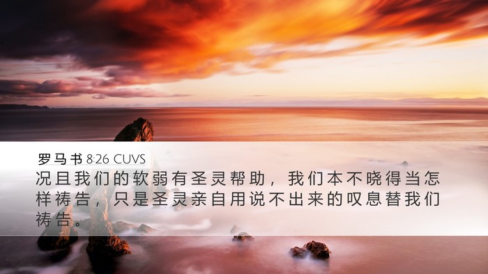 罗 马 书 8:26 CUVS Bible Verse Image