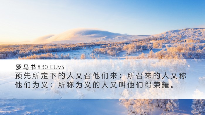 罗 马 书 8:30 CUVS Bible Verse Image