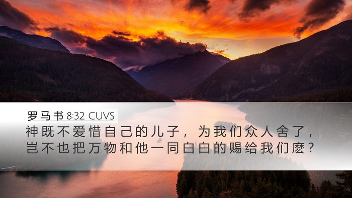 罗 马 书 8:32 CUVS Bible Verse Image