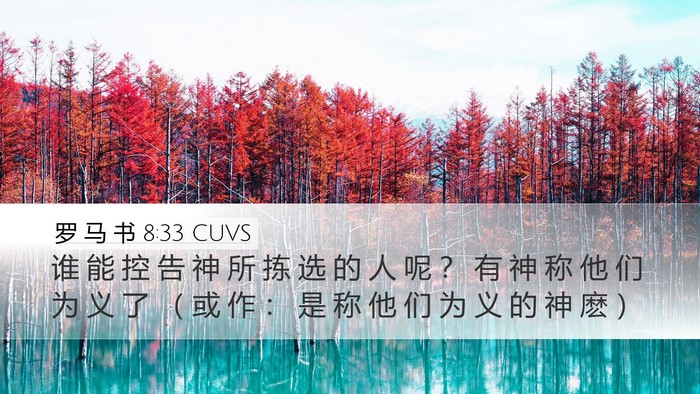 罗 马 书 8:33 CUVS Bible Verse Image