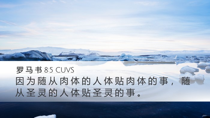 罗 马 书 8:5 CUVS Bible Verse Image