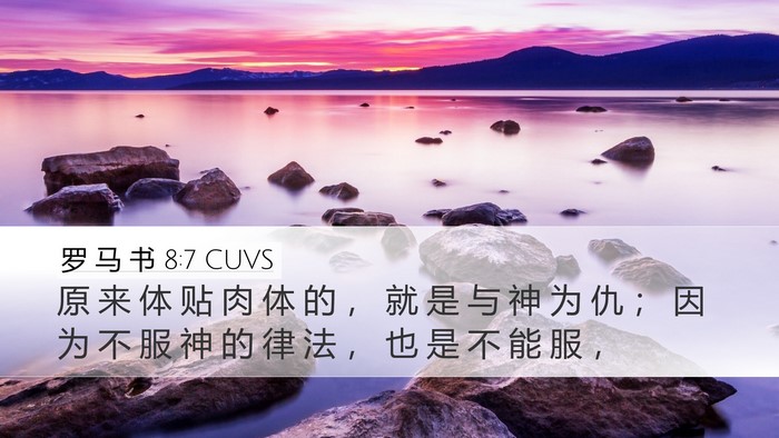 罗 马 书 8:7 CUVS Bible Verse Image