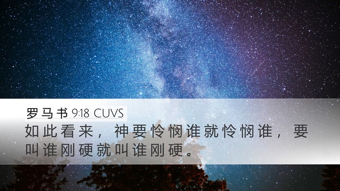 罗 马 书 9:18 CUVS Bible Verse Image