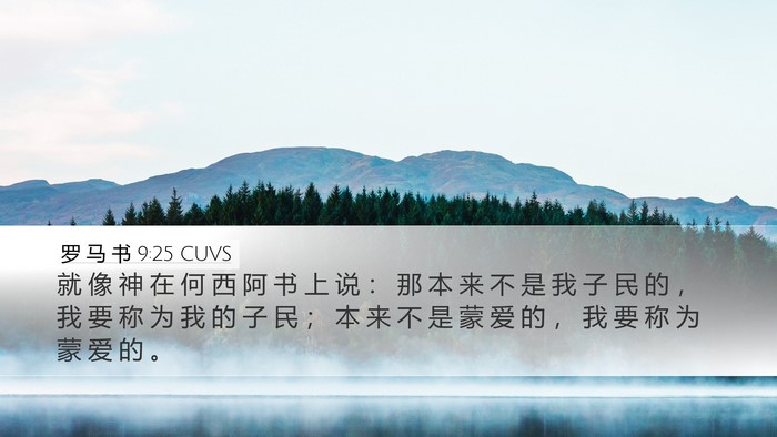 罗 马 书 9:25 CUVS Bible Verse Image