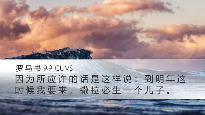 罗 马 书 9:9 CUVS Bible Verse Image