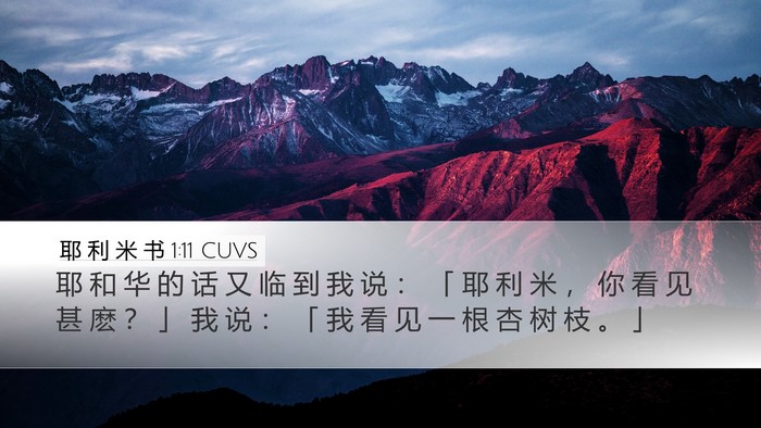 耶 利 米 书 1:11 CUVS Bible Verse Image
