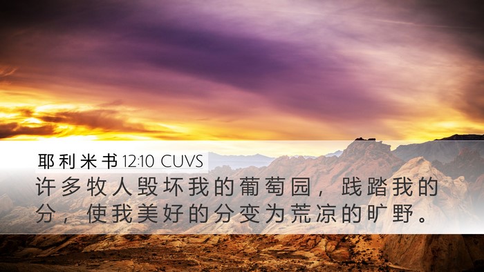 耶 利 米 书 12:10 CUVS Bible Verse Image