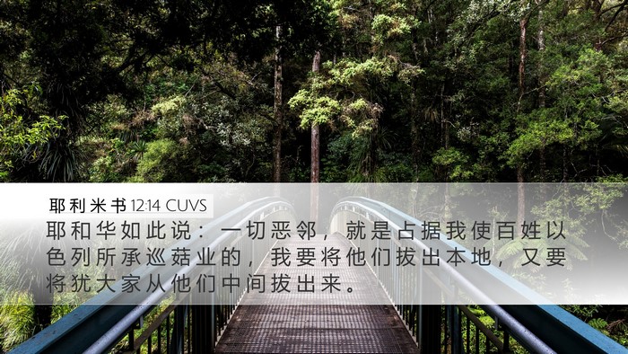 耶 利 米 书 12:14 CUVS Bible Verse Image