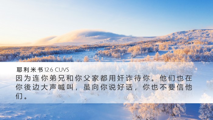 耶 利 米 书 12:6 CUVS Bible Verse Image