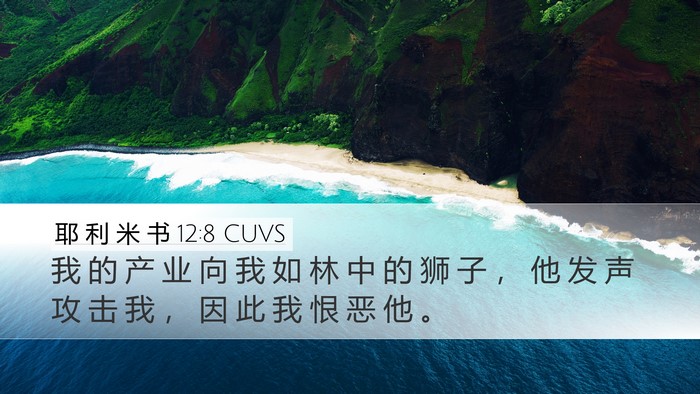 耶 利 米 书 12:8 CUVS Bible Verse Image
