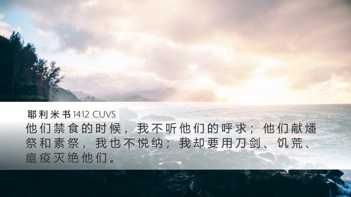 耶 利 米 书 14:12 CUVS Bible Verse Image
