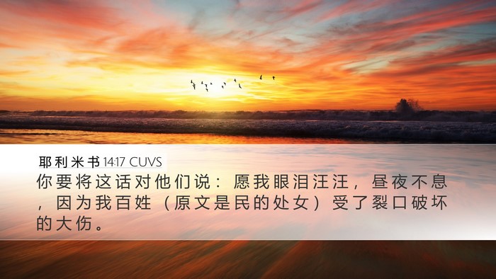 耶 利 米 书 14:17 CUVS Bible Verse Image