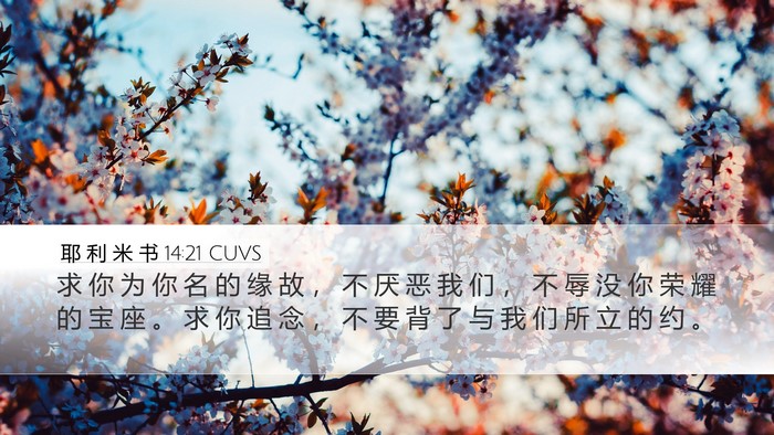 耶 利 米 书 14:21 CUVS Bible Verse Image