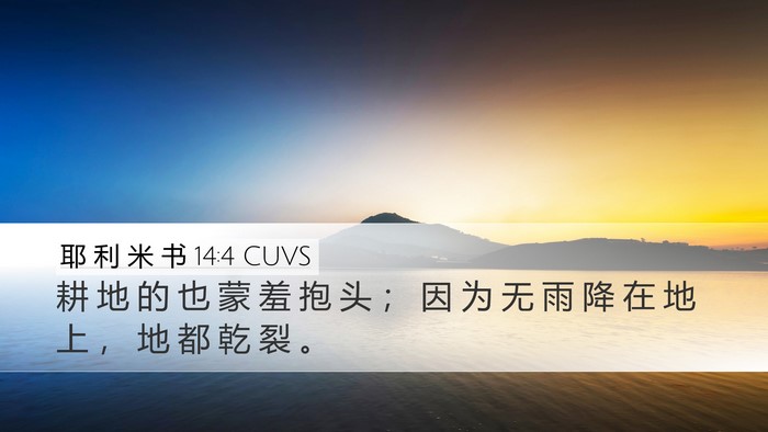 耶 利 米 书 14:4 CUVS Desktop Wallpaper - 耕 地 的 也 蒙 羞 抱 头 ； 因 为 无 - Desktop Bible Verse Wallpaper