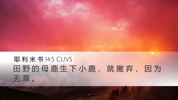 耶 利 米 书 14:5 CUVS Bible Verse Image