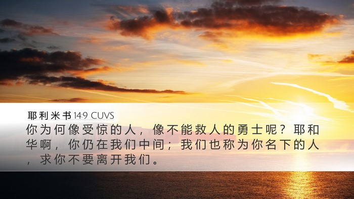 耶 利 米 书 14:9 CUVS Bible Verse Image