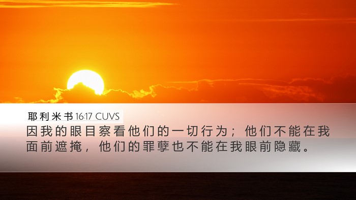 耶 利 米 书 16:17 CUVS Bible Verse Image