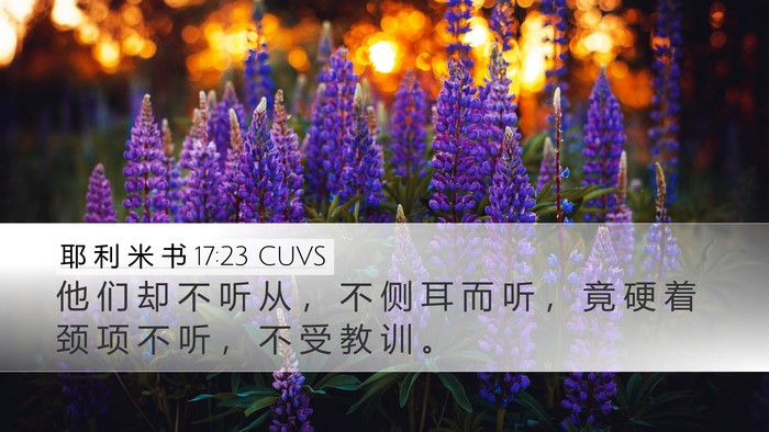 耶 利 米 书 17:23 CUVS Bible Verse Image