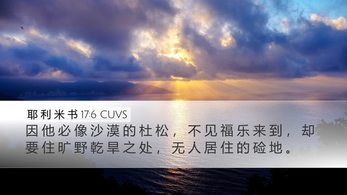 耶 利 米 书 17:6 CUVS Desktop Wallpaper - 因 他 必 像 沙 漠 的 杜 松 ， 不 见 - Desktop Bible Verse Wallpaper