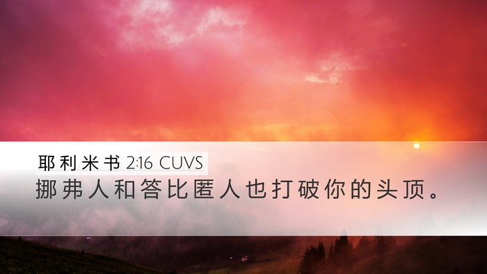 耶 利 米 书 2:16 CUVS Desktop Wallpaper - 挪 弗 人 和 答 比 匿 人 也 打 破 你 - Desktop Bible Verse Wallpaper