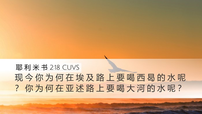 耶 利 米 书 2:18 CUVS Desktop Wallpaper - 现 今 你 为 何 在 埃 及 路 上 要 喝 - Desktop Bible Verse Wallpaper