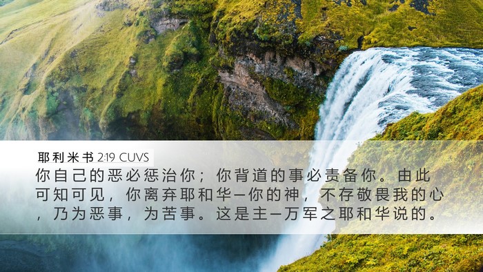 耶 利 米 书 2:19 CUVS Bible Verse Image