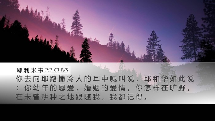 耶 利 米 书 2:2 CUVS Bible Verse Image