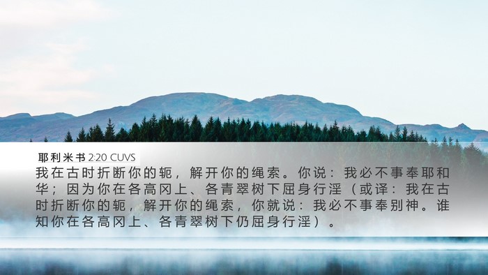 耶 利 米 书 2:20 CUVS Bible Verse Image