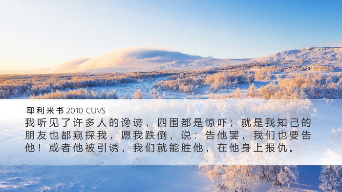耶 利 米 书 20:10 CUVS Bible Verse Image