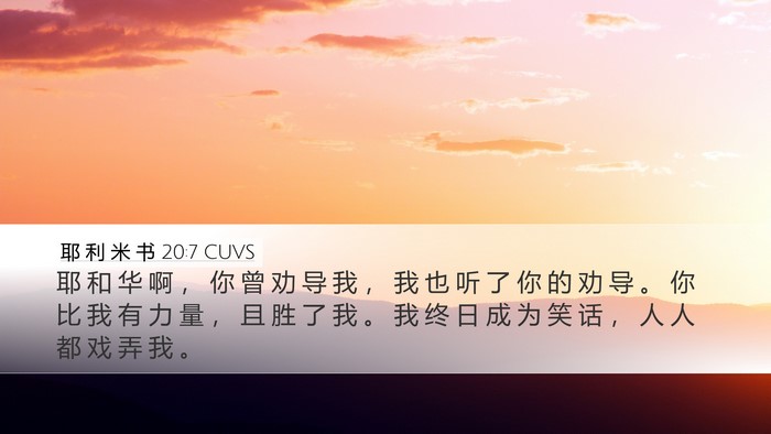 耶 利 米 书 20:7 CUVS Bible Verse Image