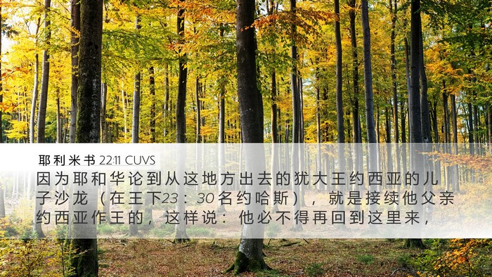 耶 利 米 书 22:11 CUVS Bible Verse Image