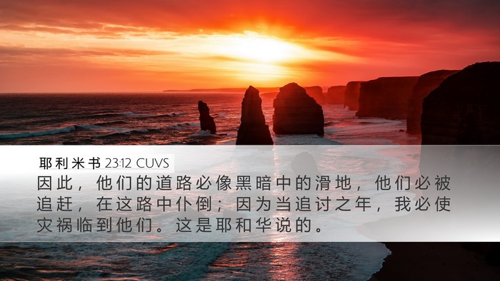 耶 利 米 书 23:12 CUVS Bible Verse Image