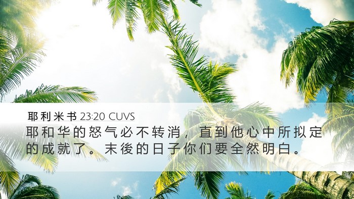耶 利 米 书 23:20 CUVS Bible Verse Image