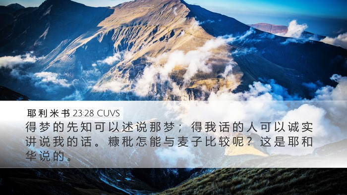 耶 利 米 书 23:28 CUVS Bible Verse Image